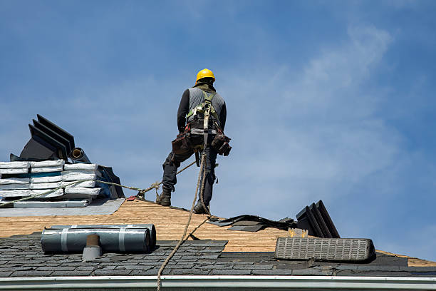 Professional Roof Repair technician working in Roanoke, AL